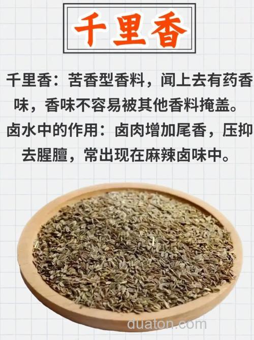 千里香是加饵料里还是散炮里？