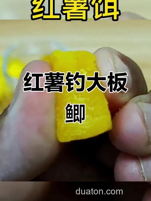 泡红薯钓鱼的正确方法?
