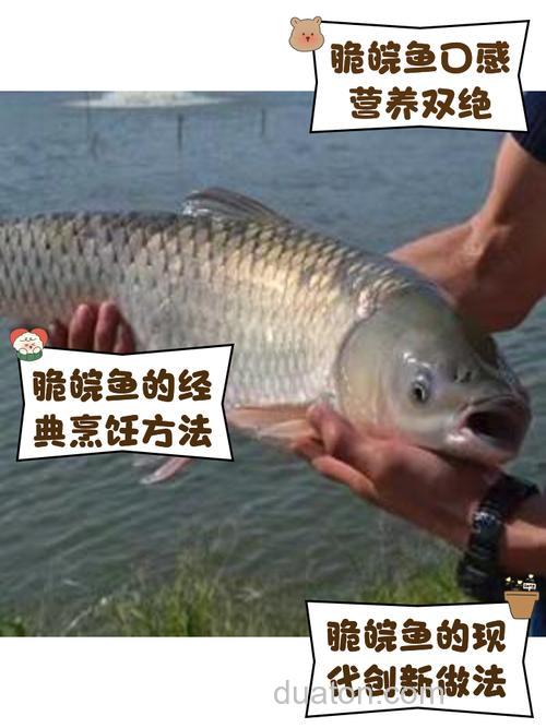 皖鱼用什么饵最好钓到?