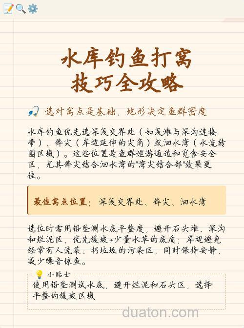 水库钓鱼怎么打窝