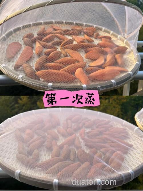 红薯干钓鱼效果怎样?