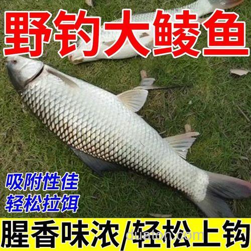 钓麦鲮鱼最佳饵料配方?