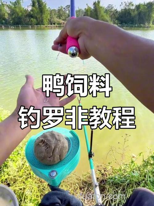 鸭子饲料配什么好钓鱼