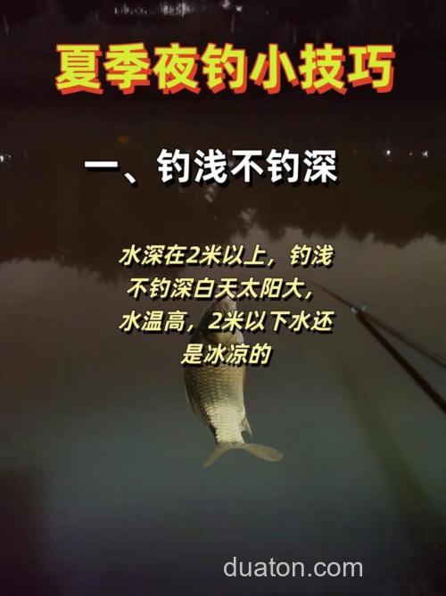晚上夜钓的技巧?