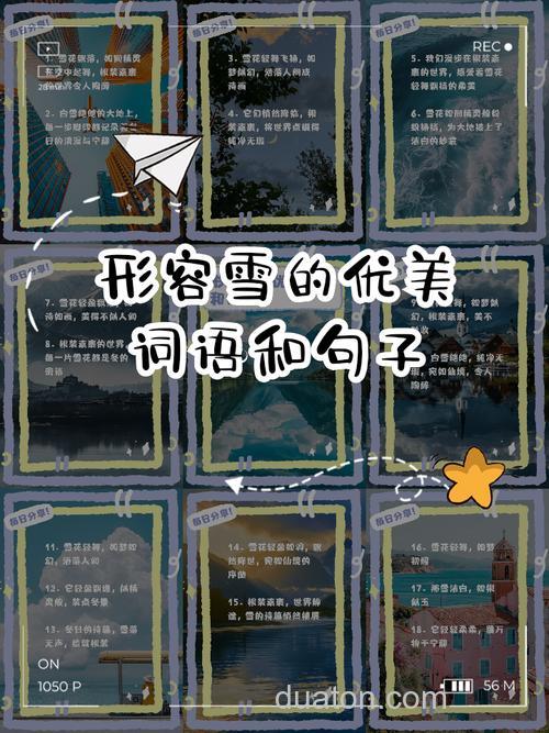 好雪片片不落别处的含义是什么?