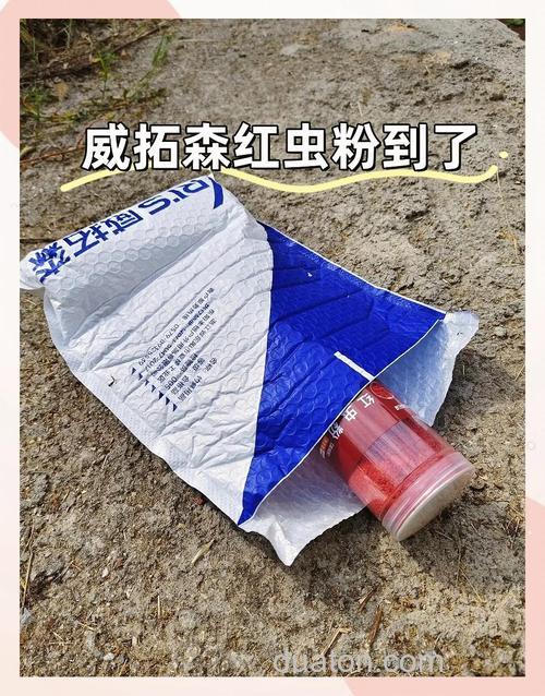 红虫粉配什么料钓鲫鱼最佳?