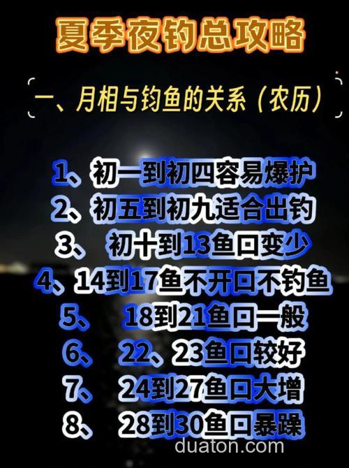 夜钓野钓虽好但有挑战,掌握这些技巧与装备准备很关键