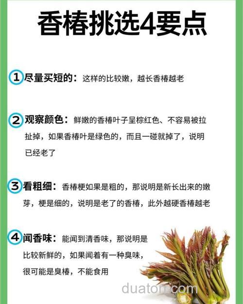 香椿钓鱼最佳配方?