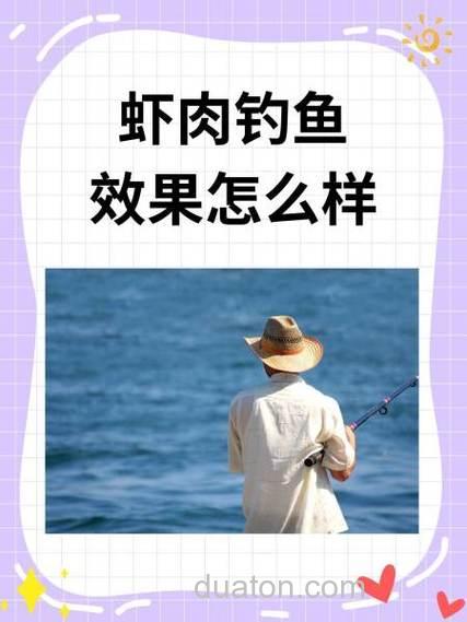 用虾肉钓鲤鱼怎么看