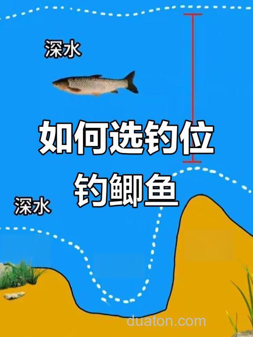 野塘钓鲫鱼的技巧与选择钓位方法,你知道多少?