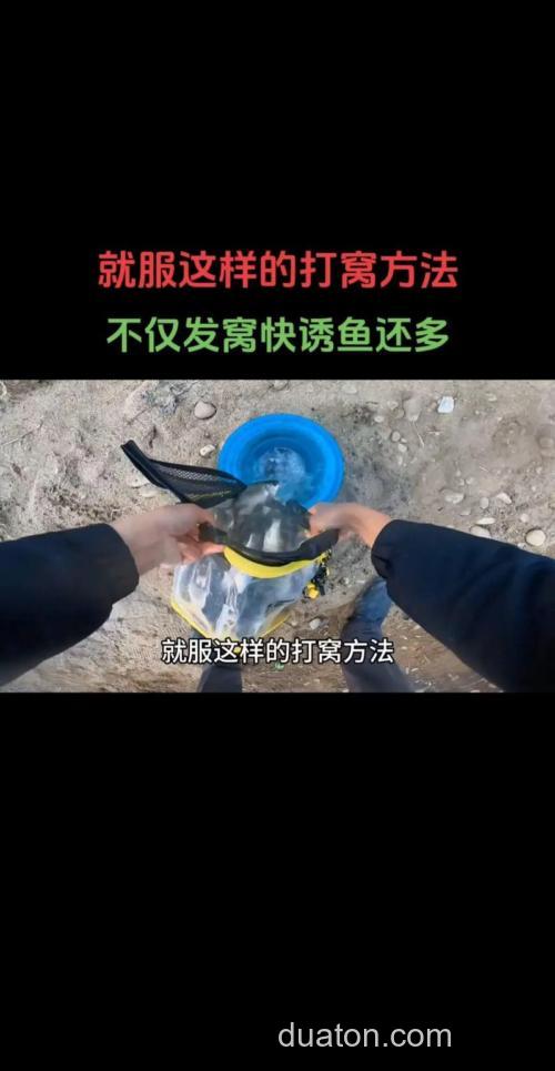 夜钓鲫鱼先打窝后开灯还是先开灯后打窝?