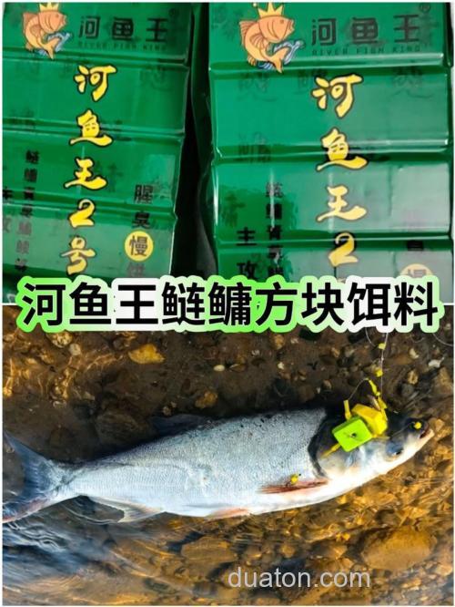 鲢鳙王这款饵料怎么样？