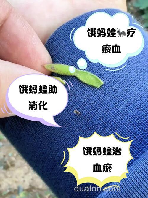 食饵真能治病吗