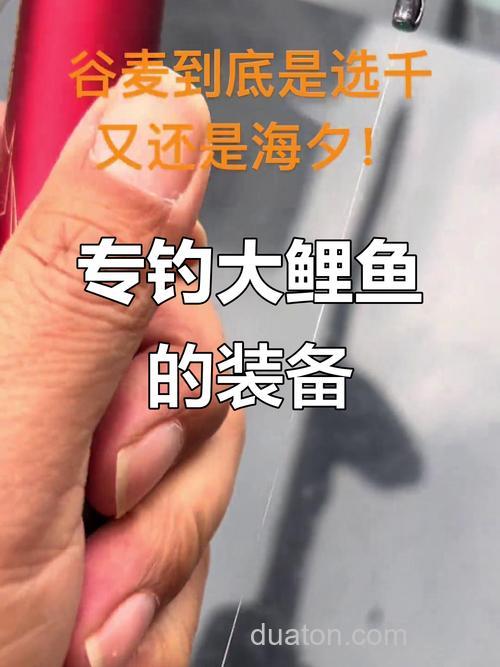 谷麦钓鲤鱼用多大的线好?