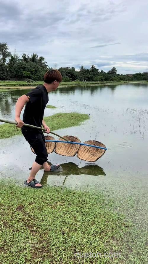 抓鲶鱼最佳方法?