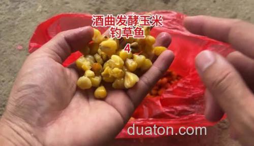 酒曲对钓鱼的作用?
