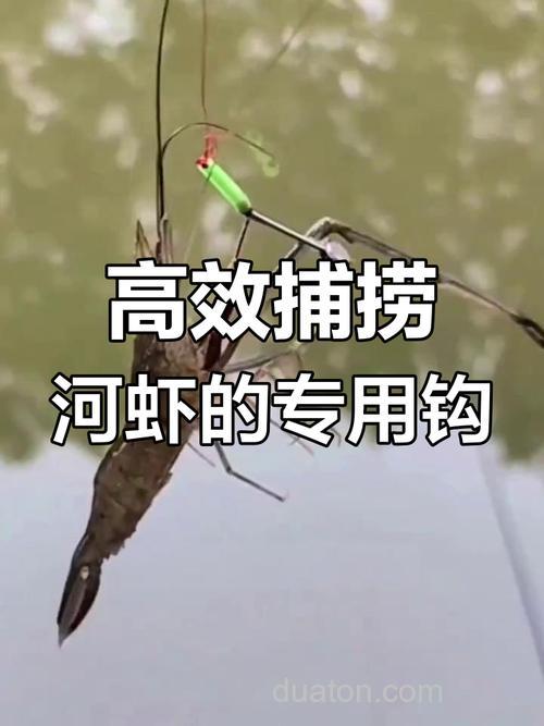钓野虾的乐趣与技巧,这些工具和方法你知道吗?
