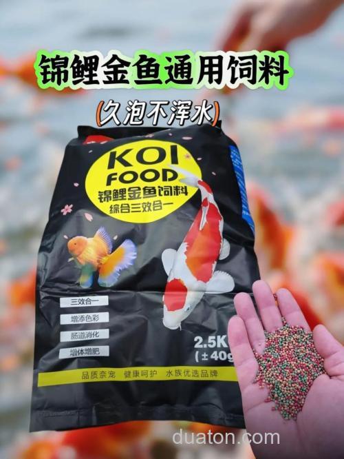 鲤鱼饲料可以喂鱼吗?