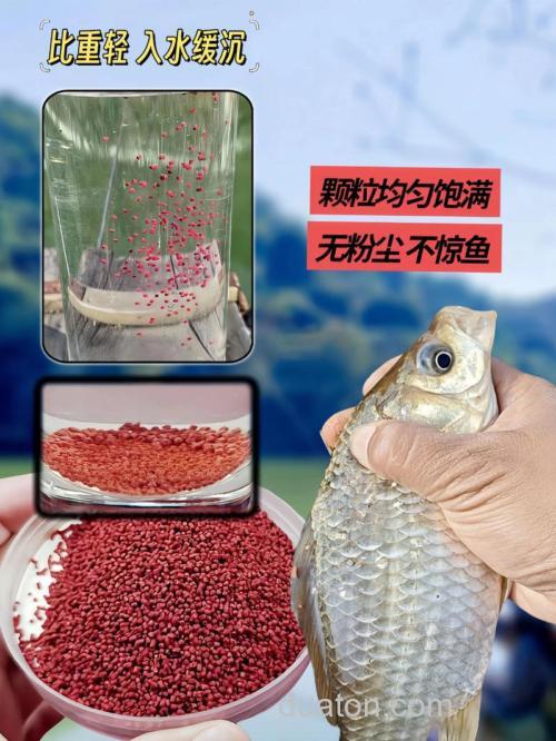 钓鲫鱼那种料效果好或颗粒也好