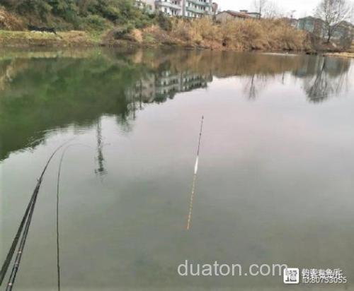天元红魔1号适不适合,秋末冬初野钓
