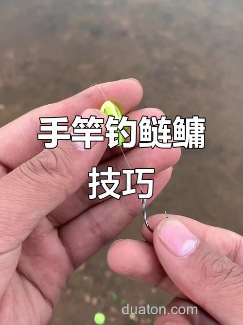 求视频:手杆钓鲢鱼饵料及使用方法
