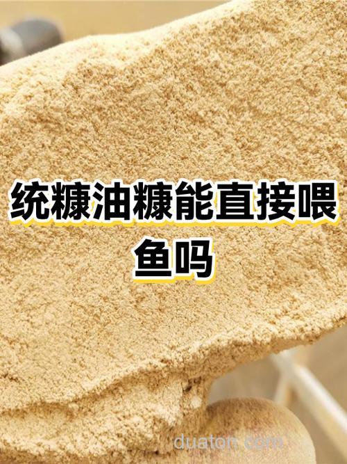米糠可以直接喂鱼会死吗?