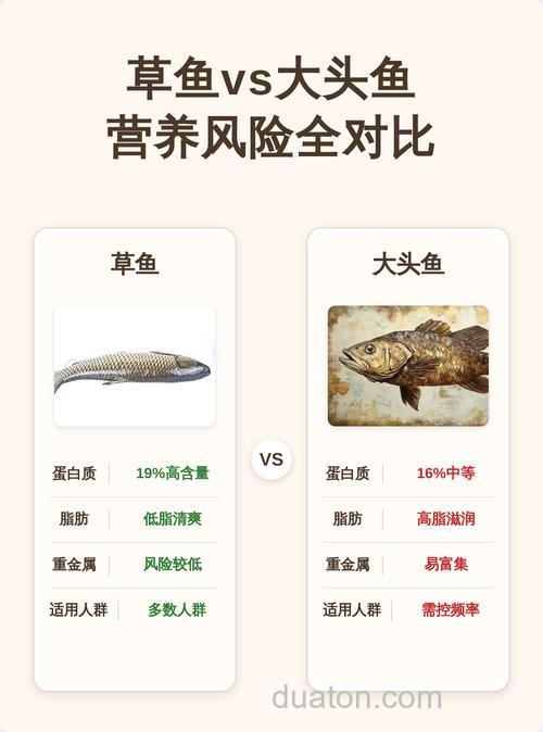 大头鱼和草鱼吃什么饲料?