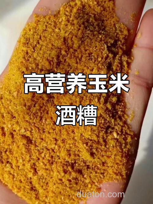 发酵玉米没有酒曲可以用啥代替?