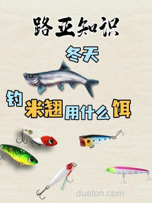 米翘用什么饵?