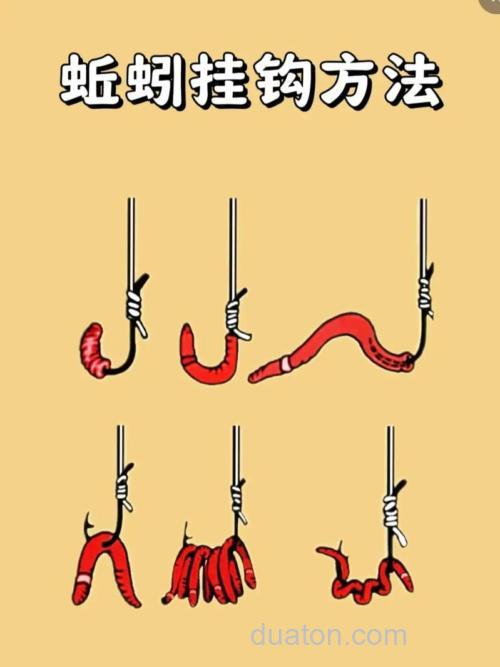 野钓鲫鱼怎么挂蚯蚓上钩率高