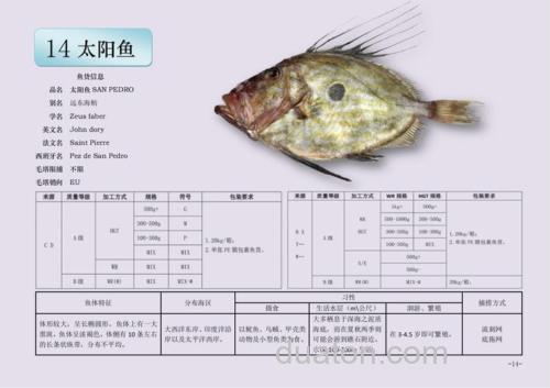 太阳鱼最佳饵料配方?
