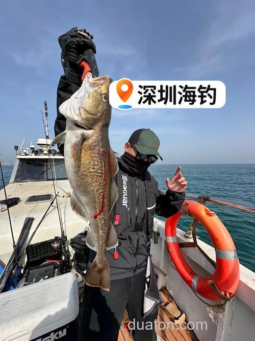 海钓远投:掌握正确技巧与选对装备,畅享大海博弈艺术