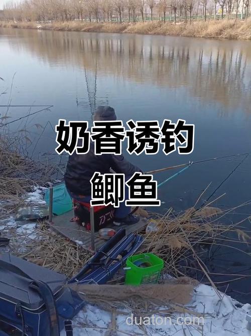 冬季奶粉钓鱼的正确方法?