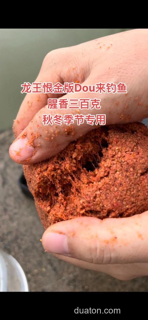 冬天钓鱼用龙王恨香好还是?