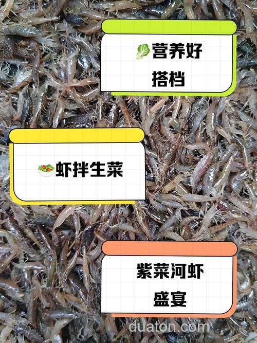河虾最佳诱饵料配方?