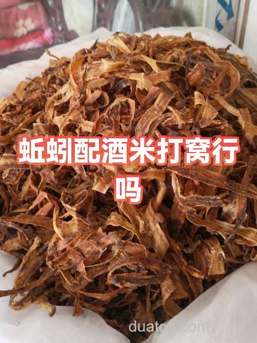 黄色酒米打窝用蚯蚓钓可以吗?
