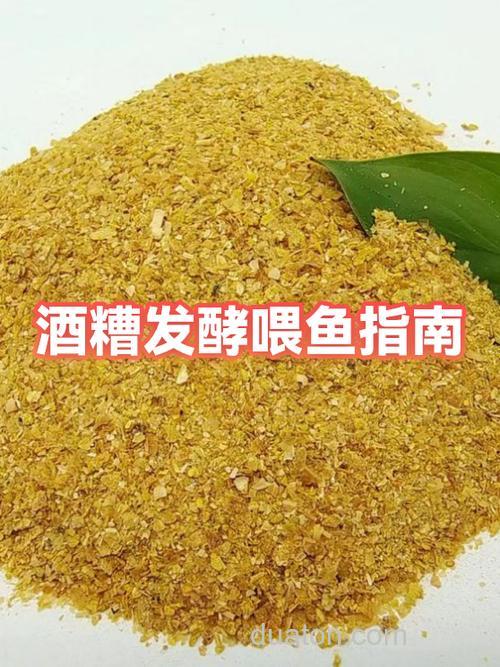 啤酒厂酒糟怎么处理喂鱼?
