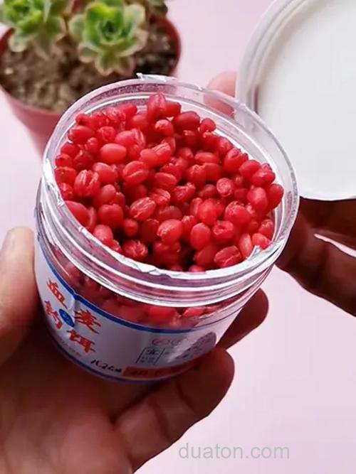 夏季谷麦用什么饵料?
