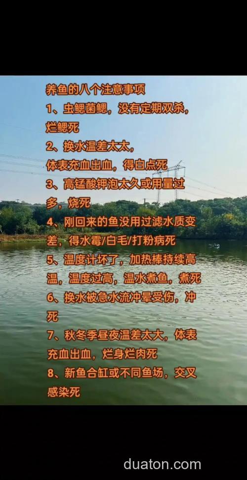 为什么池塘养鱼要撒肥料?