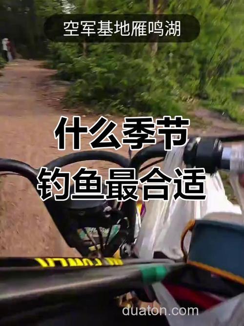 什么季节最适合钓鱼?