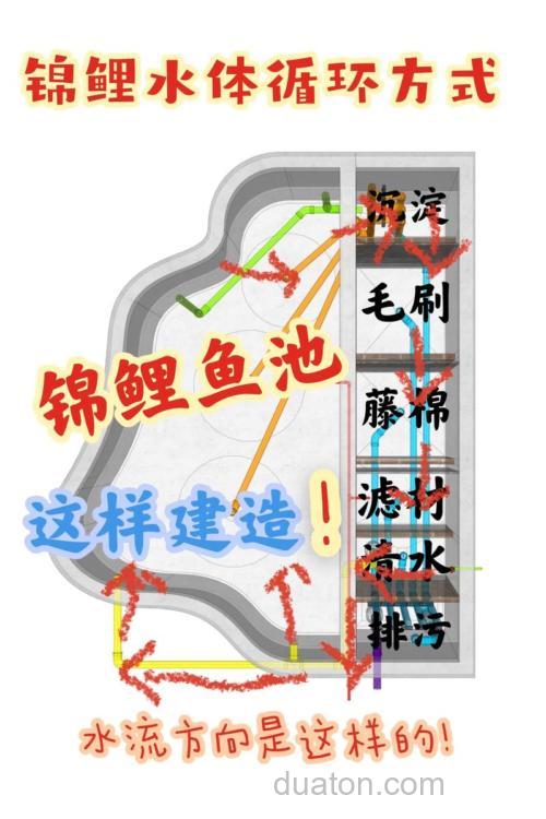 如何钓开放鲤鱼塘?