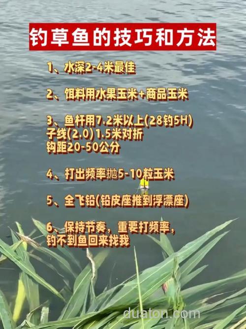 冬天钓鱼馆钓草鱼怎么配饵?