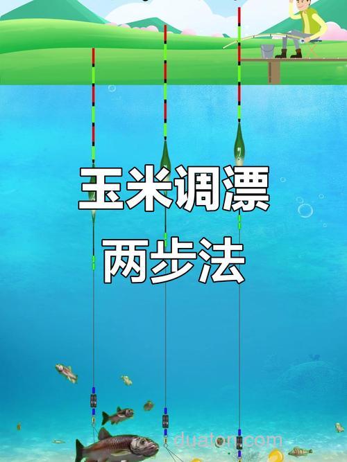 挂玉米粒钓鲤鱼调漂最佳方法?