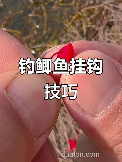 如何钩酒米钓鱼