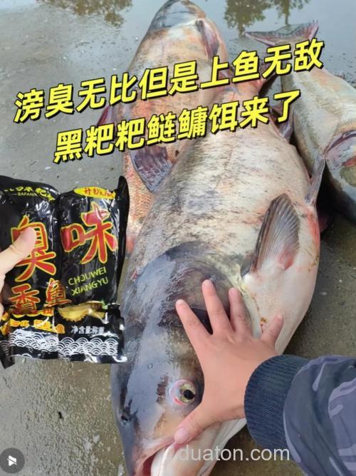 川渝鲢鳙粑粑配方?