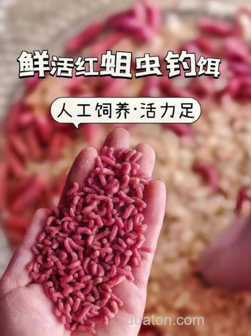 红色鱼饵料是怎样变成红色的?