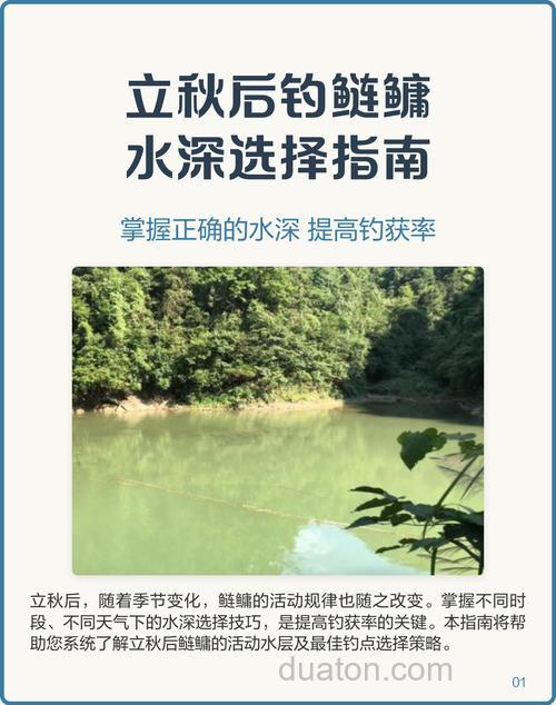 立秋后怎样钓鲢鱼