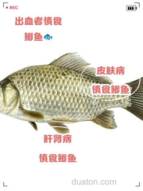 李老师，草鱼饵中的酸味对鲤鱼，鲫鱼有什么影响？