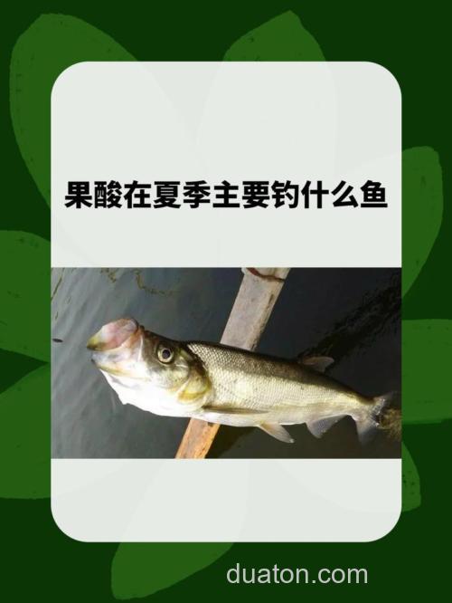 果酸钓什么鱼有效
