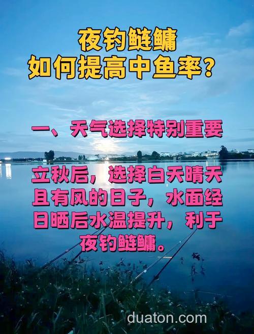 请教一下晚上钓鲢鱼的方法